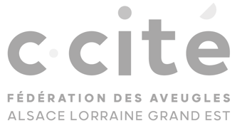  L'image du logo de https://www.ccite.fr/