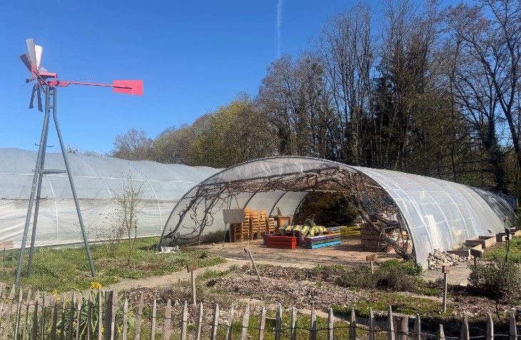 Cultiver l'avenir : Les Jardins de Cocagne de Thaon-lès-Vosges renforcent leur engagement pour une insertion professionnelle qui respecte et valorise chaque individu, tout en s'inscrivant dans une démarche écologique. 